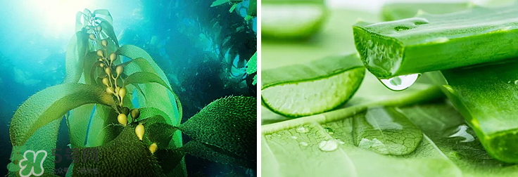 ���������bb˪��ô�������������ò����ã�